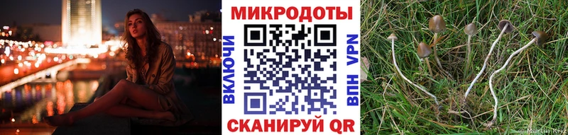 Галлюциногенные грибы Cubensis Новоуральск