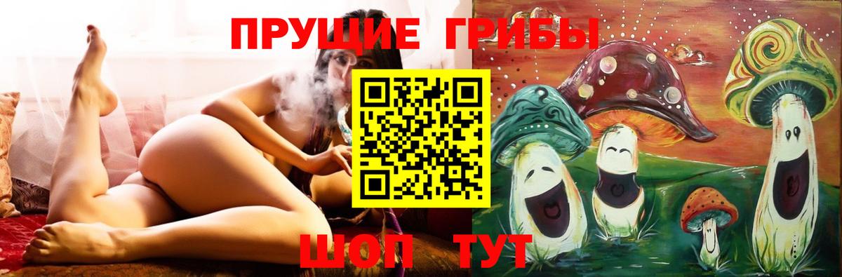 Галлюциногенные грибы Magic Shrooms  продажа наркотиков  Новоуральск  Галлюциногенные грибы Psilocybine cubensis  Вход с VPN 